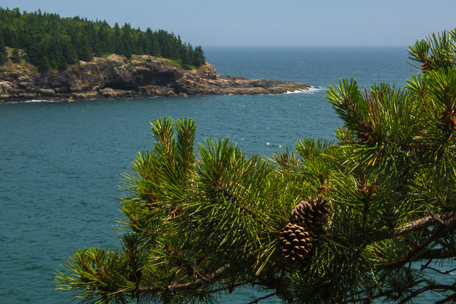 Acadia