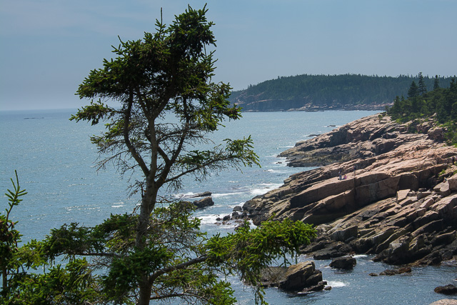 Acadia