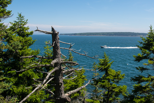 Bass Harbor