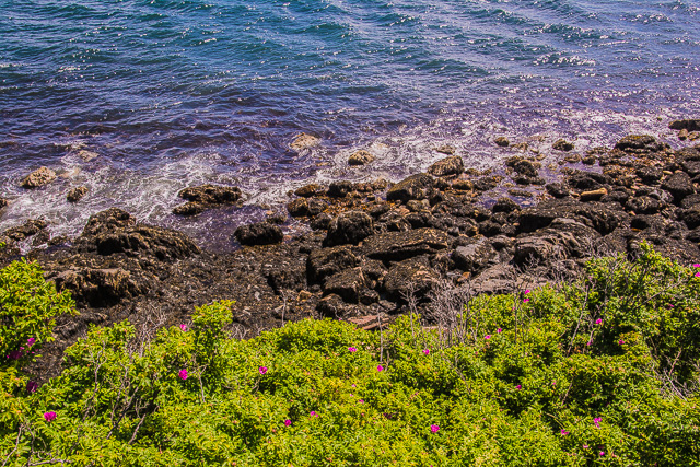 Bass Harbor