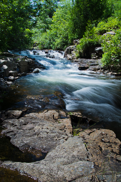 Duck Brook